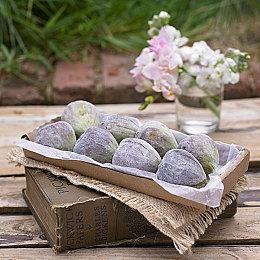 《Perfect Poses》4月登陆Steam 内裤男的完美姿势穿洞